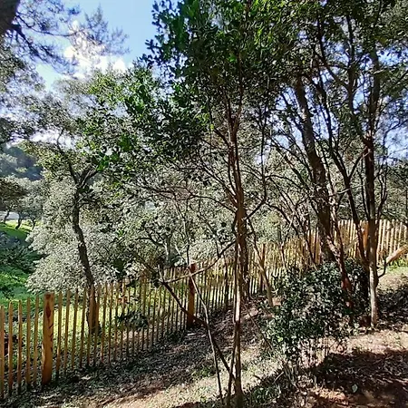 Everblue-domaine Avec Piscine * Sainte-Maxime