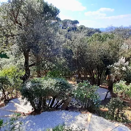 Everblue-domaine Avec Piscine *